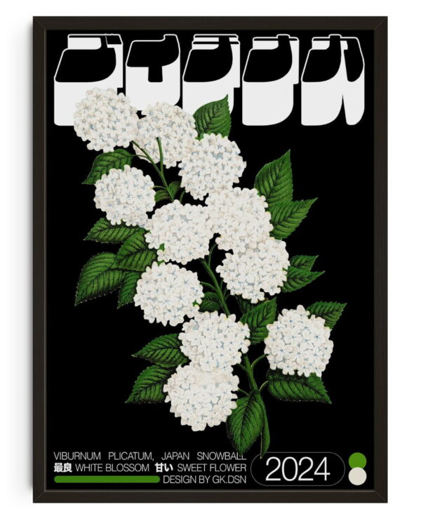 Viburnum Plicatum - Image 3