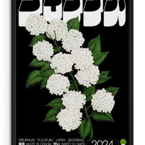 Viburnum Plicatum