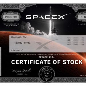 Personalize SpaceX Inspired Stock Certificate Art – Vintage Style Wall Decor / Investor Gift / Finance Office Print