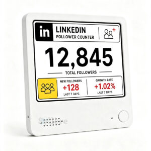 LinkedIn follower counter, Real-Time LinkedIn Follower Displa, Followers display for professionals